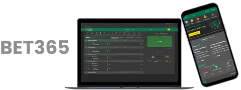 上海海港,力克深圳新,鹏城,半岛体育,半岛体育下载,半岛体育官方,半岛体育在线,半岛体育登录,半岛体育链接