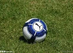 全国人大常,委机构人员,变动公告,半岛体育,半岛体育下载,半岛体育官方,半岛体育在线,半岛体育登录,半岛体育链接