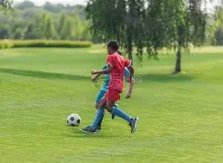 美冠杯,期号解析,专家质合分,半岛体育,半岛体育下载,半岛体育官方,半岛体育在线,半岛体育登录,半岛体育链接