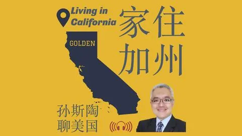 阿瑙托维奇精准射门，迪马尔科巧妙助攻，反击得分！